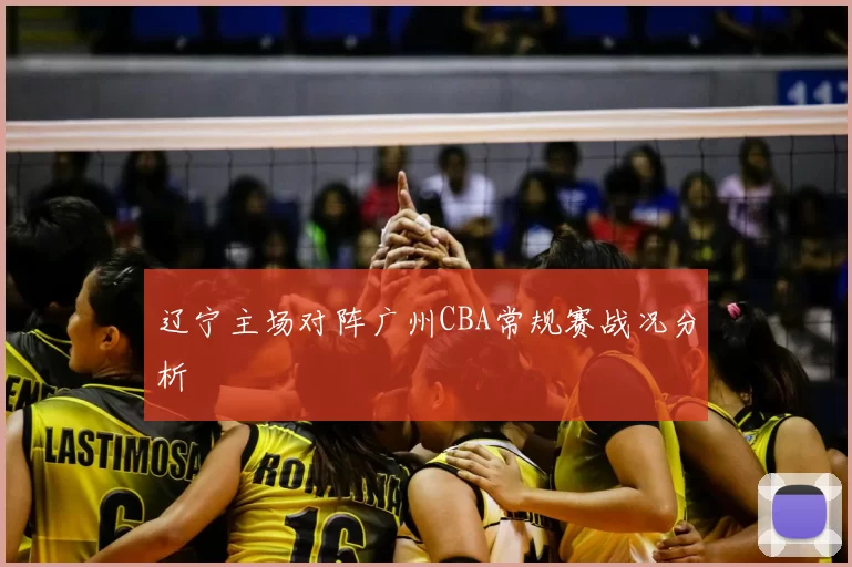 辽宁主场对阵广州CBA常规赛战况分析