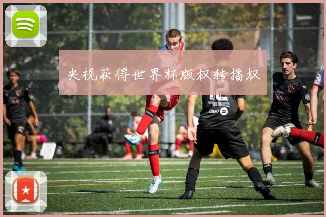 央视获得世界杯版权转播权