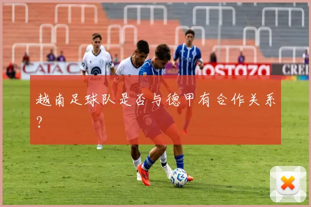 越南足球队是否与德甲有合作关系？