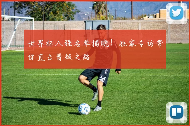 世界杯八强名单揭晓!独家专访带你直击晋级之路