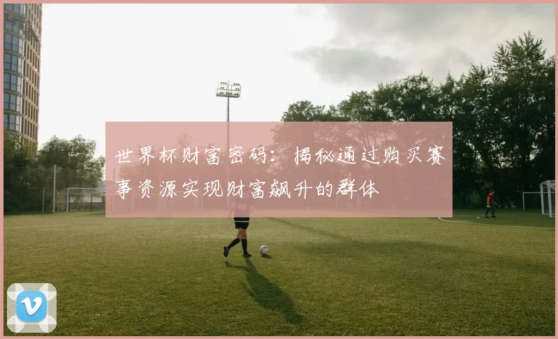 世界杯财富密码:揭秘通过购买赛事资源实现财富飙升的群体