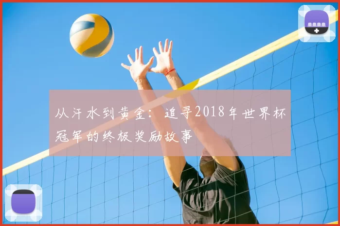 从汗水到黄金：追寻2018年世界杯冠军的终极奖励故事