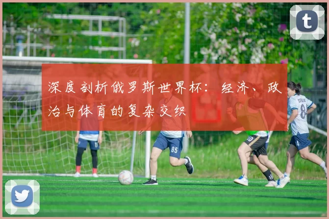 深度剖析俄罗斯世界杯:经济、政治与体育的复杂交织