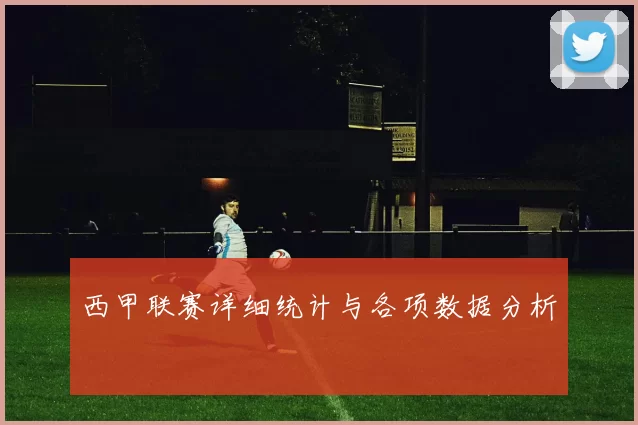 西甲联赛详细统计与各项数据分析