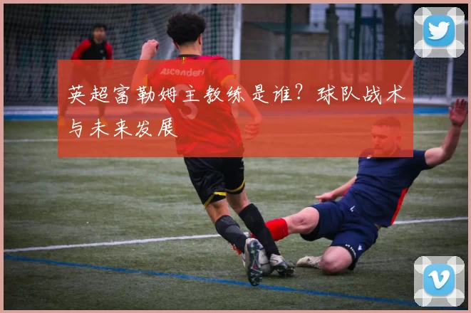 英超富勒姆主教练是谁？球队战术与未来发展