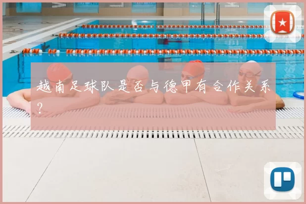 越南足球队是否与德甲有合作关系？