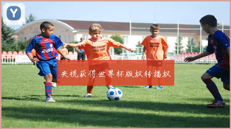 央视获得世界杯版权转播权