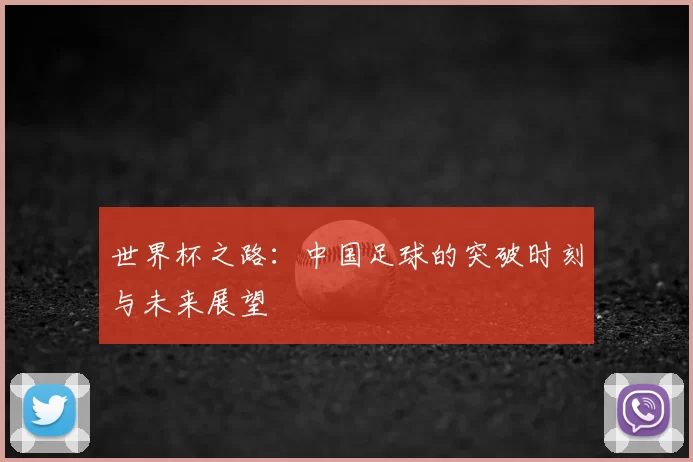 世界杯之路:中国足球的突破时刻与未来展望