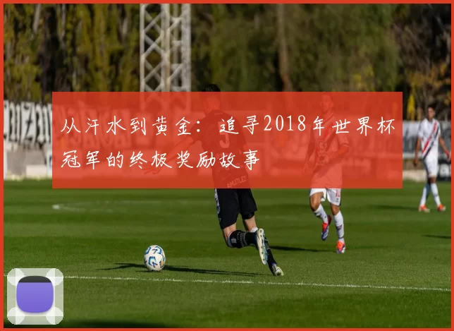 从汗水到黄金:追寻2018年世界杯冠军的终极奖励故事
