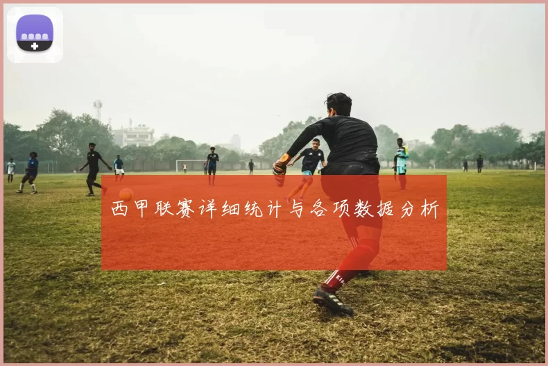 西甲联赛详细统计与各项数据分析