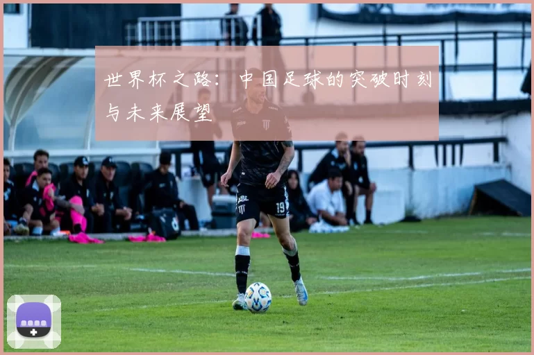 世界杯之路:中国足球的突破时刻与未来展望