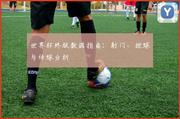 世界杯终极数据指南：射门、控球与传球分析