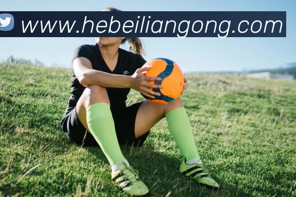 尊龙凯时APP 封面图